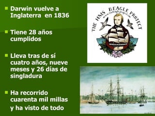 Darwin vuelve a Inglaterra  en 1836  Tiene 28 años cumplidos  Lleva tras de sí cuatro años, nueve meses y 26 días de singladura Ha recorrido cuarenta mil millas   y ha visto de todo 