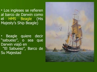 Los ingleses se refieren al barco de Darwin como el  HMS Beagle  (His Majesty’s Ship Beagle) Beagle quiere decir “sabueso”, o sea que Darwin viajó en “ El Sabueso”, Barco de Su Majestad 
