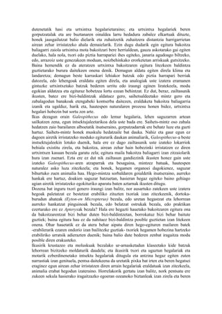 dutenetatik hasi eta urtxintxa hegalarietaraino; eta urtxintxa hegalariek beren
gorputzatalak eta are buztanaren oinaldea larru hedadura zabalez elkartuak dituzte,
honek jausgailutzat balio dielarik eta zuhaitzetik zuhaitzera distantzia harrigarrietan
airean zehar irristatzeko ahala demaielarik. Ezin dugu dudarik egin egitura bakoitza
baliagarri zaiola urtxintxa mota bakoitzari bere herrialdean, gauza askotarako gai egiten
duelako, hala nola, txori edo piztia harrapariei ihes egiteko, janaria agudoago biltzeko,
edo, arrazoiz uste genezakeen moduan, noizbehinkako erorketetan arriskuak gutxitzeko.
Baina hemendik ez da ateratzen urtxintxa bakoitzaren egitura litezkeen baldintza
guztietarako burura daitekeen onena denik. Demagun aldatu egiten direla klima eta
landaretza; demagun beste karraskari lehiakor batzuk edo piztia harrapari berriak
datozela, edo lehengoak eraldatu egiten direla, eta analogiak uste izatera eramanen
gintuzke urtxintxetako batzuk bederen urritu edo iraungi eginen liratekeela, modu
egokian aldatzea eta egituraz hobetzea lortu ezean behintzat. Ez dut, beraz, zailtasunik
ikusten, batez ere bizi-baldintzak aldatuez gero, saihetsaldeetako mintz gero eta
zabalagodun banakoak etengabeki kontserba daitezen, eraldaketa bakoitza baliagarria
izanik eta ugalduz, harik eta, hautespen naturalaren prozesu honen bidez, urtxintxa
hegalari hobezin bat sortu zen arte.
Ikus dezagun orain Galeopithecus edo lemur hegalaria, lehen saguzarren artean
sailkatzen zena, egun intsektujaleetarikoa dela uste bada ere. Saihets-mintz oso zabala
hedatzen zaio barailaren alboetatik itsatseraino, gorputzadarrak ere behatz luze eta guzti
hartuz. Saihets-mintz honek muskulu hedatzaile bat dauka. Nahiz eta gaur egun ez
dagoen airetik irristatzeko moduko egiturarik daukan animaliarik, Galeopithecus-a beste
instsektujaleekin lotuko duenik, hala ere ez dago zailtasunik uste izateko lokarriok
behiala existitu zirela, eta bakoitza, airean zehar hain hobezinki irristatzen ez diren
urtxintxen kasuan bezala garatu zela; egitura maila bakoitza baliagarri izan zitzaiolarik
hura izan zuenari. Ezta ere ez dut nik zailtasun gandiezinik ikusten honez gain uste
izateko Galeopithecus-aren atzaparrak eta besagaina, mintzez batuak, hautespen
naturalez asko luza zitezkeela; eta honek, hegamen organoei dagokienez, saguzar
bihurtuko zuen animalia hau. Hego-mintza sorbaldaren goialdetik itsatseraino, aurreko
hankak ere hartuz, doakien saguzar batzuetan, hasieran hegaz egiteko baino gehiago
agian airetik irristatzeko egokituriko aparatu baten aztarnak ikusten ditugu.
Dozena bat inguru txori genero iraungi izan balitz, nor ausartuko zatekeen uste izatera
hegoak paletatzat ez bestetzat erabiliko zituzten txoriak izan zitezkeenik, dortoka-
burudun ahateak (Eyton-en Micropterus) bezala, edo uretan hegastzat eta lehorrean
aurreko hankatzat pinguinoak bezala, edo belatzat ostrukak bezala, edo praktikan
ezertarako ere ez Apteryxak bezala? Hala ere hegazti hauetako bakoitzaren egitura ona
da bakoitzarentzat bizi behar duten bizi-baldintzetan, borrokatuz bizi behar baitute
guztiek; baina egitura hau ez da nahitaez bizi-baldintza posible guztietan izan litekeen
onena. Ohar hauetatik ez da atera behar aipatu diren hego-egituren mailaren batek
-erabilerarik ezaren ondorio izan bailitezke guztiak- txoriek hegamen hobezina hartzeko
erabiliriko urratsik adierazten duenik; baina balio dute bederen zenbat iragaitza modu
posible diren erakusteko.
Ikusirik krustazeo eta moluskuak bezalako ur-arnasketadun klaseetako kide batzuk
lehorrean bizitzeko moldaturik daudela; eta ikusirik txori eta ugaztun hegalariak eta
motarik ezberdinenetako intsektu hegalariak ditugula eta antzina hegaz egiten zuten
narrastiak izan genituela, pentsa daitekeena da uretatik pixka bat irten eta beren hegatsei
eraginez egun airean zehar irristatzen diren arrain hegalariak eraldatuak izan zitezkeela,
animalia erabat hegodun izateraino. Horrelakorik gertatu izan balitz, nork pentsatu ere
zukeen sekula hasierako iragaitzazko egoeran ozeanoko biztanleak izan zirela eta beren
 