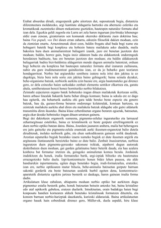 Erabat absurdua dirudi, eragozpenik gabe aitortzen dut, suposatzeak begia, distantzia
diferenteetara moldatzeko, argi kantitate aldagarria hartzeko eta aberrazio esferiko eta
kromatikoak zuzentzeko dituen mekanismo guztiekin, hautespen naturalez formatu ahal
izan dela. Eguzkia geldi zegoela eta Lurra ari zela haren inguruan jira-biraka lehenengo
aldiz esan zenean, gizateriaren sen komunak okerreko deklaratu zuen doktrina hau;
baina Vox populi, vox Dei dioen erran zaharra, edozein filosofok dakien moduan, ezin
da zientzian onartu. Arrazoimenak diost ezen, baldin frogatu ahal bada begi xume eta
hobagarri batetik begi konplexu eta hobezin batera mailaketa asko daudela, maila
bakoitza hura duen animaliarentzat baliagarri izanik, jazo ere benetan jazotzen den
moduan; baldin, horrez gain, begia inoiz aldatzen bada eta aldakuntzok ondorengoek
heredatzen badituzte, hau ere benetan jazotzen den moduan; eta baldin aldakuntzok
baliagarriak badira bizi-baldintza aldagarrien mende dagoen animalia batentzat, orduan
begi hobezin eta konplexu bat hautespen naturalez formatu ahal izanaren zailtasuna,
nahiz eta gure irudimenarentzat gaindiezina izan, ez da jo beharko gure teoriaren
hondagarritzat. Nerbio bat argiarekiko sentibera izatera nola iritsi den jakitea ia ez
dagokigu, bizia bera nola sortu zen jakitea baino gehiagorik; baina seinala dezaket,
behe-organismo batzuk, nerbiorik aurkitu ezin bazaie ere, argia hautemateko gai direnez
gero, ez dela ezinezko haien sarkodako zenbait elementu sentikor elkartzea eta, garatu
ahala, sentiberatasun berezi honez hornituriko nerbio bilakatzea.
Zeinnahi ezpezieren organo batek hobetzeko iragan dituen mailaketak ikertzean soilik,
haren arbaso linealak bakarrik hartu behar ditugu kontuan; baina ia sekula ere ez dago
hau egiterik, eta beharturik aurkitu ohi gara talde bereko beste espezie eta genero
batzuk, hau da, guraso-forma beraren ondorengo kolateralak, kontuan hartzera, ea
zeintzuk mailaketa aurkitu ahal diren eta mailaketa batzuk aldagabe edo gutxi aldaturik
transmititu diren ikusteko. Baina klase ezberdinetan organo beraren egoerak, batzuetan,
argia ekar dezake hobetzeko iragan dituen urratsen gainera.
Begi dei dakiokeen organorik xumeena, pigmentu-zelulaz inguraturiko eta larruazal
zeharrargitsuaz estaliriko, baina ez kristalinorik ez beste gorputz errefringenterik ez
duen nerbio optiko batean datza. Baina, Jourdain jaunaren arabera, maila bat beheragora
ere jaits gaitezke eta pigmentu-zelula erantsiak aurki ikusmen-organotzat balio dutela
diruditenak, inolako nerbiorik gabe, eta ehun sarkodikoaren gainean soilik daudenak.
Arestian aipaturiko begiak bezalako izaera xumeko begiek ez dute ikusmen argirik eta
argitasuna iluntasunetik bereizteko baino ez dute balio. Zenbait itsasizarretan, nerbioa
inguratzen duen pigmentu-geruzako sakonune txikiak, aipaberri dugun autoreak
deskribatzen duen moduan, gai garden gelatinatsu batez beterik daude, eta hau azalera
konbexu bat formatuz irtetzen da, goragoko animalietan kornea bezala. Jordainek
iradokitzen du honek, irudia formatzeko barik, argi-izpiak biltzeko eta hautematea
errazagotzeko balio duela. Izpi-kontzentrazio honen bidez lehen pausoa, eta alde
handiarekin inportanteena, egiten dugu benetako begia, irudi-formatzailea, eratzeko;
izan ere, nerbio optikoaren mutur biluzia, behe-animalia batzuetan gorputz barruan
sakonki gorderik eta beste batzuetan azaletik hurbil egoten dena, kontzentrazio-
aparatutik distantzia egokira jartzea besterik ez daukagu, haren gainean irudia forma
dadin.
Artikulatuen klase zabalean, abiapuntu moduan nerbio optiko bat aurkitzen dugu
pigmentuz estalia besterik gabe, honek batzuetan betsein antzeko bat, baina kristalino
edo atal optikorik gabekoa, eratzen duelarik. Intsektuetan, orain badakigu haien begi
konposatu handien kornearen aldeek benetako kristalinoak formatzen dituztela, eta
konoen barruan nerbio-harizpiak dauzkatela, kurioski aldaraziak. Baina artikulatuetan
organo hauek hain ezberdinak direnez gero, Müller-ek, duela aspaldi, hiru klase
 