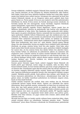 fortzeps tridaktiloak, oinaldetik mugigaitz finkatuak baina oratzeko gai direnak, badira,
izan, itsasizar batzuetan; eta hau ulergarria da, defentsa bitartekotzat, aldez bederen,
balio badute. Kontu honi buruz adeitasun handienaz hainbat berri eman didan Agassiz
jaunak diost badirela beste zenbait itsasizar, fortzepsaren hiru adarretatik bat beste bien
euskarri bilakaturik dutenak, eta are hirugarren adarra guztiz galdurik duten beste
genero batzuk ere. Perrier jaunak Echinoneus-aren maskorra mota biko pedizelarioekin
deskribatzen du, batzuk Echinus-arenen eta besteak Spatangus-arenen antzekoak; eta
horrelako kasuak beti dira interesgarriak, itxuraz bat-bateko iragaitzen bitartekoak
ematen dizkigutelako, organo baten bi egoeretako bat galtzea bide.
Organo bitxiok garatzeko iraganiko urratsei dagokienez, Agassiz jaunak, bere eta
Müllerren ikerketetatik, inferitzen du pedizelarioak, hala itsasizar nola itsastrikuetan,
arantza eraldatutzat jo behar direla. Hau banakoetan duten garakeratik inferi daiteke,
baita espezie eta genero ezberdinetan, bikortxo xumeetatik hasi eta arantza normaletatik
igaroz pedizelario tridaktilo hobezin bilakatzeraino ageri den mailaketa-serie luze eta
osobetetik ere. Mailaketa, arantza arruntek eta pedizelarioek beren karekizko makiltxo
euskarrien bidez maskorrera artikulatzeko duten modura ere hedatzen da. Itsasizar
genero batzuetan, "pedizelarioak arantza abartu eraldatuak besterik ez direla frogatzeko
behar diren konbinazioak, hain zuzen ere", aurki daitezke. Horrela arantza finkoak
ditugu, hiru adar distantzikide, horztun eta mugikor beren oinaldetik hurbil artikulaturik
dituztenak, eta gorago, arantzan bertan, beste hiru adar mugikor. Orain bada, azken
hauek arantza baten burutik ateratzen direnenan, egitez, pedizelario tridaktilo landugabe
bat osatzen dute, eta hau arantzan bertan ikus daiteke beheko hiru adarrekin batera.
Kasu honetan berbera eta nahastezina da pedizelarioen adarren eta arantzaren adar
mugikorren izaera. Eskuarki onartzen da arantza arruntek babesteko balio dutela; eta,
horrela izanik, adar horztun eta mugikorrez hornituek ere xede bererako balio dute; eta
are efikazia handiagoz balioko lukete, adarrok elkartuz aparatu oratzaile edo atzemaile
moduan ihardunez gero. Horrela, mailaketa oro, arantza arruntetik pedizelario
tinkoraino, emendioko litzateke.
Itsasizar genero batzuetan organo hauek, euskarri mugigaitz batean finkaturik edo
handik jaiorik egon beharrean, txorten malgu eta muskular, nahiz eta labur, baten
buruan kokaturik daude; eta kasu honetan defentsaz gain beste zeregin gehigarriren bat
ere betetzen dute. Itsastrikuetan segitu ahal dira arantza finko bat oskolera artikulatu eta,
era horretan, mugigaitz bihurtzeko eginiko urratsak. Hemen leku gehiago izatea nahi
nuke Agassizen pedizelarioen garapenari buruzko ohar interesgarrien laburpen osoagoa
emateko. Mailaketa posible guztiak, berak gehitzen duen moduan, aurki daitezke era
berean itsasizarren pedizelarioen eta Ofiuroideoen -ekinodermatuen beste talde bat-
gakoen artean; eta halaber itsastrikuen pedizelarioen eta holoturien ainguren artean,
hauek ere klase handi berekoak.
Zenbait animalia konposatu edo zoofitok, deitu zaien moduan, hau da, Polizooek
avikularioak deritzen organo bitxiak dituzte. Egituraz oso ezberdinak dira espezie
diferenteetan. Beren egoerarik onenean, miniaturazko sai baten buru eta mokoaren antz
bitxia dute, lepo baten gainean jarririk eta mugitzeko gai delarik, behe-baraila edo
masaila den moduan. Nik azterturiko espezie batean adar bateko avikulario guztiak sarri
batera mugitzen ziren atzera eta aurrera, behe-baraila zabalik, 90º inguruko angelua
eginez bost segundotan, eta mugimendu honek dardar jartzen zuen polizoo guztia.
Barailak orratz batez ukitzean, oso gogor oratzen diote orratzari, adarra astindu ahal
izateraino oratu ere.
Mivartek kasu hau batez ere honako ustezko zailtasun honen euskarritzat dakar, alegia,
animali erreinuko dibisio oso ezberdinetan, hautespen naturalez, berak "funtsean
berdintsutzat" jotzen dituen Polizooen avikularioak eta Ekinodermatuen pedizelarioak
 