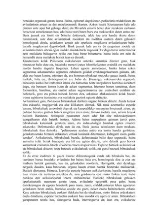 bezalako organoak garatu izana. Baina, egiturari dagokionez, pedizelario tridaktiloen eta
avikularioen artean ez dut antzekotasunik ikusten. Azken hauek Krustazeoen kela edo
pintzen antz apur bat gehiago dute; eta Mivartek oinarri beraz ekar zezakeen zailtasun
berezitzat antzekotasun hau; edo baita txori baten buru eta mokoarekin duten antza ere.
Busk jaunak eta Smitt eta Nitsche doktoreek, talde hau arta handiz ikertu duten
naturalistek, uste dute avikularioak zooideen eta zoofitoa osatzen duten gelasken
homologoak direla, gelaskaren ezpain edo operkulu mugikorra avikularioaren behe-
baraila mugikorrari dagokiolarik. Busk jaunak hala ere ez du ezagutzen zooide eta
avikulario baten artean egun inolako mailaketarik dagoenik. Ez dago beraz antzematerik
zein mailaketa baliagarriz heldu zen bata beste bihurtzera; baina inola ere ezin da
hemendik atera mailaketa horiek izan ez direnik.
Krustazeoen kelak Polizooen avikularioen antzeko samarrak direnez gero, biak
pintzatzat balio dute eta, badaiteke merezi izatea lehenbizikoetan oraindik ere mailaketa
mordo handia dagoela frogatzea. Lehen egoera xumeenean, hanka baten azken
segmentua azkenaurreko segmentu zabalaren goialde errektangeluarraren gainera, edo
alde oso baten kontra, okertzen da, era horretan objektuei oratzeko gauza izanik; baina
hankak, hala ere, ibil-organotzat ere balio du. Hurrengo, azkenaurreko segmentu
zabalaren kantoi bat zertxobait irtena eta batzuetan hortz irregularrez hornitua aurkitzen
dugu, eta berauen kontra ixten da azken segmentua. Irtenune honen tamainua, duen
formarekin, handituz, eta orobat azken segmentuarena ere, zertxobait eraldatu eta
hobeturik, gero eta pintza hobeak lortzen dira, azkenean abakandoaren kelak bezain
tresna eginkorra izateraino; eta mailaketa guztiok egiazta daitezke.
Avikularioez gain, Polizooak bibrakuluak deritzen organo bitxiak dituzte. Zurda luzeak
dira eskuarki, mugigarriak eta aise kilikatzen direnak. Nik neuk azterturiko espezie
batean, bibrakuluak zertxobait okerrak eta kanpoaldeko muturrean horztunak ziren; eta
polizoo beraren guztiak batera mugitzen ziren maiz, halako moldez non, arraun luzeak
bailiren ihardunez, behingoan pasarazten zuten adar bat nire mikroskopioaren
ezargailuaren alde batetik bestera. Adarra haien aurpegiaren gainean jarriz gero,
bibrakuluak kateaturik geratzen ziren, eta indar-ahalegin handiak egiten zituzten
askatzeko. Defentsarako direla uste da eta, Busk jaunak seinalatzen duen moduan,
bibrakuluak ikus daitezke "polizooaren azalera astiro eta kontu handiz garbitzen,
gelaskatxoetako biztanle delikatuei, erroak luzaturik dituztenean, kaltegarri zaien guztia
kenduz". Avikularioek, bibrakuluek bezala, defentsarako balio dute seguraski, baina
animalia txiki biziak harrapatu eta hil ere egiten dituzte, uste delarik gero horiek
korronteak eramaten dituela zooideen erroen irispideraino. Espezie batzuek avikularioak
eta bibrakuluak dituzte; beste batzuek avikularioak soilik, eta gutxi batzuek bibrakuluak
soilik.
Ez da erraz iruditzen bi gauza itxuraz diferenteagorik zurda edo bibrakulu bat, eta
txoriaren burua bezalako avikulario bat baino; hala ere, homologoak dira ia ziur eta
iturburu beretik garatuak, hau da, gelaskadun zooidetik. Horregatik, uler dezakegu
zergatik dauden, kasu batzuetan, organo hauen artean batetik besterako mailaketak,
Buskek diostanez. Horrela, Lepralia espezie batzuen avikularioetan, baraila mugikorra
hain irtena eta zurdaren antzekoa da, non goi-baraila edo moko finkoa izate hutsa
nahikoa den avikularioaren izaera erabakitzeko. Baliteke bibrakuluak gelasken
operkuluetatik zuzenean garatu izana, avikulario egoeratik pasa gabe; baina
daitekeenagoa da egoera honetatik pasa izana, zeren, eraldakuntzaren lehen egoeretan
gelaskaren beste atalak, barneko zooide eta guzti, nekez ezaba baitzitezkeen zeharo.
Kasu askotan bibrakuluak euskarri ildokatu bat du oinaldean, moko finkoa ordezkatzen
duela dirudiena, espezie batzuetan euskarri hau inondik ere ageri ez arren. Bibrakuluen
garapenaren teoria hau, sinesgarria bada, interresgarria da; izan ere, avikularioz
 