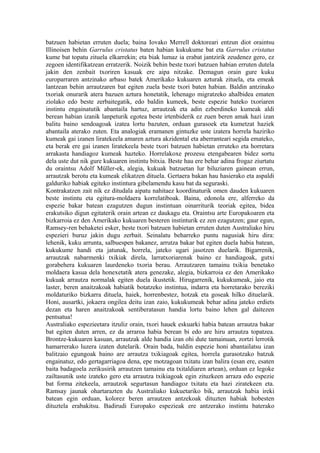 batzuen habietan erruten duela; baina Iovako Merrell doktoreari entzun diot oraintsu
Illinoisen behin Garrulus cristatus baten habian kukukume bat eta Garrulus cristatus
kume bat topatu zituela elkarrekin; eta biak lumaz ia erabat jantzirik zeudenez gero, ez
zegoen identifikatzean erratzerik. Noizik behin beste txori batzuen habian erruten dutela
jakin den zenbait txoriren kasuak ere aipa nitzake. Demagun orain gure kuku
europarraren antzinako arbaso batek Amerikako kukuaren azturak zituela, eta emeak
lantzean behin arrautzaren bat egiten zuela beste txori baten habian. Baldin antzinako
txoriak onurarik atera bazuen aztura honetatik, lehenago migratzeko ahalbidea ematen
ziolako edo beste zerbaitegatik, edo baldin kumeek, beste espezie bateko txoriaren
instintu engainatutik abantaila hartuz, arrautzak eta adin ezberdineko kumeak aldi
berean habian izanik lanpeturik egotea beste irtenbiderik ez zuen beren amak hazi izan
balitu baino sendoagoak izatea lortu bazuten, orduan gurasoek eta kumetzat haziek
abantaila aterako zuten. Eta analogiak eramanen gintuzke uste izatera horrela haziriko
kumeak gai izanen liratekeela amaren aztura akzidental eta aberranteari segida emateko,
eta berak ere gai izanen liratekeela beste txori batzuen habietan erruteko eta horretara
arrakasta handiagoz kumeak hazteko. Horrelakoxe prozesu etengabearen bidez sortu
dela uste dut nik gure kukuaren instintu bitxia. Beste hau ere behar adina frogaz ziurtatu
du oraintsu Adolf Müller-ek, alegia, kukuak batzuetan lur biluziaren gainean errun,
arrautzak berotu eta kumeak elikatzen dituela. Gertaera bakan hau hasierako eta aspaldi
galduriko habiak egiteko instintura gibelamendu kasu bat da seguraski.
Kontrakatzen zait nik ez ditudala aipatu nahitaez koordinaturik omen dauden kukuaren
beste instintu eta egitura-moldaera korrelatiboak. Baina, edonola ere, alferreko da
espezie bakar batean ezagutzen dugun instintuan oinarriturik teoriak egitea, bidea
erakutsiko digun egitaterik orain artean ez daukagu eta. Oraintsu arte Europakoaren eta
bizkarroia ez den Amerikako kukuaren besteren instinturik ez zen ezagutzen; gaur egun,
Ramsey-ren behaketei esker, beste txori batzuen habietan erruten duten Australiako hiru
espezieri buruz jakin dugu zerbait. Seinalatu beharreko puntu nagusiak hiru dira:
lehenik, kuku arrunta, salbuespen bakanez, arrutza bakar bat egiten duela habia batean,
kukukume handi eta jatunak, horrela, jateko ugari jasotzen duelarik. Bigarrenik,
arrautzak nabarmenki txikiak direla, larratxoriarenak baino ez handiagoak, gutxi
gorabehera kukuaren laurdeneko txoria berau. Arrautzaren tamainu txikia benetako
moldaera kasua dela honexetatik atera genezake, alegia, bizkarroia ez den Amerikako
kukuak arrautza normalak egiten duela ikustetik. Hirugarrenik, kukukumeak, jaio eta
laster, beren anaitzakoak habiatik botatzeko instintua, indarra eta horretarako bereziki
moldaturiko bizkarra dituela, haiek, horrenbestez, hotzak eta goseak hilko dituelarik.
Honi, ausartki, jokaera ongilea deitu izan zaio, kukukumeak behar adina jateko erdiets
dezan eta haren anaitzakoak sentiberatasun handia lortu baino lehen gal daitezen
pentsatua!
Australiako espezieetara itzuliz orain, txori hauek eskuarki habia batean arrautza bakar
bat egiten duten arren, ez da arraroa habia berean bi edo are hiru arrautza topatzea.
Brontze-kukuaren kasuan, arrautzak alde handia izan ohi dute tamainuan, zortzi lerrotik
hamarrerako luzera izaten dutelarik. Orain bada, baldin espezie honi abantailatsu izan
balitzaio egungoak baino are arrautza txikiagoak egitea, horrela gurasotzako batzuk
engainatuz, edo gertagarriagoa dena, epe motzagoan txitatu izan balira (esan ere, esaten
baita badagoela zerikusirik arrautzen tamainu eta txitaldiaren artean), orduan ez legoke
zailtasunik uste izateko gero eta arrautza txikiagoak egin zituzkeen arraza edo espezie
bat forma zitekeela, arrautzok segurtasun handiagoz txitatu eta hazi ziratekeen eta.
Ramsay jaunak ohartarazten du Australiako kukuetariko bik, arrautzak habia ireki
batean egin orduan, kolorez beren arrautzen antzekoak dituzten habiak hobesten
dituztela erabakitsu. Badirudi Europako espezieak ere antzerako instintu baterako
 