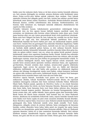 halako joera bat erakusten duela; baina ez da hain arraroa instintu honetatik aldentzea
ere, bere arrautza distiragabe eta zuriskak, arrautza distiratsu urdin berdekarak izaten
dituen Hedge-warbler-aren habian egiteak erakusten duen moduan. Gure kukuak
aipaturiko instintua beti aldagabe garatu izan balu, instintu hau nahitaez guztiak batera
harturikoak omen direnei erantsi zitzaiekeen. Australiako Brontze-kukuaren arrautzak,
Ramseyk dioenez, ezohiko ezberdintasuna dute kolorean; hainbesterainokoa, non
honetan, baita tamainuan ere, hautespen naturalak aldakuntza abantailatsuren bat
segurta eta finka zezakeen.
Europako kukuaren kasuan, kukukumearen gurasotzakoen ondorengoak kukua
arrautzatik irten eta hiru egunen buruan habiatik kanpora jaurtikiak izaten dira
normalean; eta kukukumea adin horretan zeharo baliaezina izaten denez gero, Gould
jauna hasieran aiher zen uste izatera gurasotzakoak berak zirela jaurtikitzen zituztenak.
Baina orain berri fidagarri bat hartu du, hots, kukume bat, oraindik itsu eta bere burua
altxatzeko ere ezgai zela, bere anaitzakoak habiatik jaurtikitzen ikusi zutela.
Behatzaileak hauetako bat berriro habian jarri zuen, eta kukukumeak kanpora jaurtiki
zuen berriz. Instintu bitxi eta gorrotagarri hau erdiesteko bitartekoei dagokienez, baldin
kukumearentzat garrantzi handiko izan bazen, ziurrenik izan ere izan zen moduan, jaio
eta berehala ahalik jatekorik gehien hartzea, ez diot zailtasun berezirik ikusten
kukukumeak mailaka, belaunaldiz belaunaldi, jaurtikitze lanerako behar diren grina itsu,
indar eta egitura erdietsi izanari; izan ere, aztura eta egitura horiek garatuen zituzten
kukukumeak izanen ziren segurtasun handienaz haziko zirenak. Instintu hau erdiesteko
lehen urratsa kukukumearen asmogabeko gerakatasun hutsa izan zitekeen, adin eta indar
handixeagoa zuenean, aztura hau gero hobetu eta gazteagotan transmitituko zelarik. Ez
diot zailtasun handiagorik ikusten, beste hegazti batzuen txitoek arrautzetik irten
aurretik beren arrautza-oskola apurtzeko instintua erdiesteari baino, edo sugekumeen
goi-barailetan, Owenek seinalatu duen moduan, arrautza-oskol gogorra ebakitzeko
iragaitzazko hagin zorrotz bat jaiotzeari baino. Izan ere, baldin atal bakoitzak
aldakuntza indibidualak izan ahal baditu adin guztietan eta aldakuntzok dagokien
adinean edo lehenago heredagarriak izateko joera badute, orduan kumearen instintuak
eta egitura alda zitezkeen astiro-astiro, helduarenak bezala; eta hipotesi biok hautespen
naturalaren teoria osoarekin batera zutik iraun edo erori behar dute.
Molothrus espezie batzuek, Amerikako txori genero oso berezi bat berau, gure
arabazozoen ahaidea, kukuak bezalatsuko bizkarroi-azturak dituzte; eta espezieok
mailaketa interesgarria erakusten dute beren instintuen hoberako bidean. Behatzaile
bikain batek, Hudson jaunak, egiaztatu du Malothrus badius ar eta emeak batzuetan
aldretan nahas-mahas bizi direla, eta beste batzuetan bikoteka. Batzuetan berek egiten
dute beren habia, beste batzuetan beste txori baten habiaz jabetzen dira, batzuetan
arrotzaren kumeak kanpora jaurtikiz. Batzuetan era honetan berenganaturiko habian
bertan erruten dute, edo, nahiko bakanki, haren gainean egiten dute berentzako habia.
Berek berotu ohi dituzte beren arrautzak, baita kumeak hazi ere; baina Hudsonek
dioenez, daitekeena da noizbehinka bizkarroiak izatea, espezie honetako kumeak beste
mota bateko txori haziei segika eta jaten eman ziezaieten deiadarka ikusiak dituelako.
Beste Malothrus espezie baten, bonariensis-aren, bizkarroi-azturak harenak baino askoz
garatuagoak dira, baina hobezinak izatetik urrun daude oraindik. Txori honek,
dakiguneino, aldagabe erruten du arrotzen habietan; baina seinalagarria da batzuetan
haietako zenbait elkarrekin beren kabuz habia petral eta irregular bat egiten hasten
direla leku oso desegokietan, gardu handi baten hostoetan adibidez. Hala ere, Hudsonek
egiaztatu dueneino, sekula ere ez dute osamaitzen berentzako habiarik. Sarri askotan
hainbeste arrautza -hamabostetik hogeira- egiten dituzte berentzat harturiko habia
berean, non gutxi edo bat ere ezin izanen den txitatu. Honez gain, beste ezohiko aztura
 