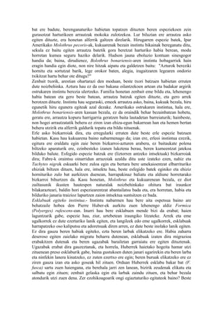 bat ere badute, berenganaturiko habietan topatzen dituzten beren espeziekoen zein
gurasotzat harturikoen arrautzak mokoka zulotzekoa. Lur biluzian ere arrautza asko
egiten dituzte, era honetan alferrik galtzen direlarik. Hirugarren espezie batek, Ipar
Amerikako Molothrus pecoris-ak, kukuarenak bezain instintu bikainak bereganatu ditu,
sekula ez baitu egiten arrautza batetik gora beretzat harturiko habia berean, modu
horretan kumea seguru haziko delarik. Hudson jauna eboluzio kontuan sinesgogor
handia da; baina, dirudienez, Bolothrus bonariensis-aren instintu hobagarriek hain
eragin handia egin diote, non nire hitzak aipatu eta galdetzen baitu: "Azturok bereziki
hornitu eta sortutzat barik, lege orokor baten, alegia, iragaitzaren legearen ondorio
txikitzat hartu behar ote ditugu?"
Zenbait txorik, arestian ohartarazi den moduan, beste txori batzuen habietan erruten
dute noizbehinka. Aztura hau ez da oso bakana oilantzekoen artean eta badakar argirik
ostrukaren instintu berezia ulertzeko. Familia honetan zenbait eme bildu eta, lehenengo
habia batean eta gero beste batean, arrautza batzuk egiten dituzte, eta gero arrek
berotzen dituzte. Instintu hau seguraski, emeek arrautza asko, baina, kukuak bezala, hiru
egunetik hiru egunera egiteak azal dezake. Amerikako ostrukaren instintua, hala ere,
Molothrus bonariensis-aren kasuan bezala, ez da oraindik behar bezainbatean hobetu,
geratu ere, arrautza kopuru harrigarria geratzen baita lautadetan barreiaturik; hainbeste,
non hogei arrautzatatik behera ez ziren izan ehiza-egun bakarrean han eta hemen bertan
behera utzirik eta alferrik galdurik topatu eta bildu nituenak.
Erle asko bizkarroiak dira, eta erregularki erruten dute beste erle espezie batzuen
habietan. Kasu hau kukuarena baino nabarmenago da; izan ere, erleoi instintua ezezik,
egitura ere eraldatu egin zaie beren bizkarroi-azturen arabera, ez baitaukate polena
biltzeko aparaturik ere, ezinbesteko izanen luketena berau, beren kumeentzat jatekoa
bilduko balute. Esfegido espezie batzuk ere (liztorren antzeko intsektuak) bizkarroiak
dira; Fabre-k oraintsu oinarridun arrazoiak azaldu ditu uste izateko ezen, nahiz eta
Tachytes nigrak eskuarki bere zuloa egin eta bertara bere umekaioentzat elbarrituriko
ehiziak biltzen dituen, hala ere, intsektu hau, beste esfegido batek eginiko eta ehiziz
hornituriko zulo bat aurkitzen duenean, harrapakinaz baliatu eta aldiune horretarako
bizkarroi bihurtzen da. Kasu honetan, Molothrus eta kukuarenean bezala, ez diot
zailtasunik ikusten hautespen naturalak noizbehinkako ohitura bat iraunkor
bilakarazteari, baldin hori espeziearentzat abantailatsu bada eta, era horretan, habia eta
bilduriko janaria traizioz lapurtzen zaion intsektua suntsitzen ez bada.
Esklabuak egiteko instintua.- Instintu nabarmen hau bere aita ospetsua baino are
behatzaile hobea den Pierre Huber-ek aurkitu zuen lehenengo aldiz Formica
(Polyerges) rufescens-ean. Inurri hau bere esklabuen mende bizi da erabat; haien
laguntzarik gabe, espezie hau, ziur, urtebetean iraungiko litzateke. Arrek eta eme
ugalkorrek ez dute ezertariko lanik egiten, eta langileek edo eme ugalkorrek, esklabuak
harrapatzeko oso kaliputsu eta adoretsuak diren arren, ez dute beste inolako lanik egiten.
Ez dira gauza beren habiak egiteko, ezta beren larbak elikatzeko ere. Habia zaharra
deseroso egiten zaielako migratu beharra dutenean, esklabuak izaten dira migrazioa
erabakitzen dutenak eta beren ugazabak barailetan garraiatu ere egiten dituztenak.
Ugazabak erabat dira gauzeztanak, eta horrela, Huberrek haietako hogeita hamar utzi
zituenean preso esklaburik gabe, baina gustukoen duten janari ugarirekin eta beren larba
eta ninfekin lanera kinatzeko, ez zuten ezertxo ere egin; beren buruak elikatzeko ere ez
ziren gauza izan eta asko goseak hil zituen. Orduan Huberrek esklabu bakar bat (F.
fusca) sartu zuen haiengana, eta berehala jarri zen lanean, bizirik zeudenak elikatu eta
salbatu egin zituen; zenbait gelaska egin eta larbak zaindu zituen, eta behar bezala
atondurik utzi zuen dena. Zer ezohikoagoarik ongi egiaztaturiko egitateok baino? Beste
 