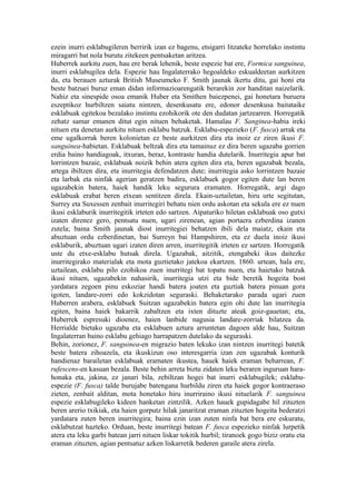 ezein inurri esklabugileren berririk izan ez bagenu, etsigarri litzateke horrelako instintu
miragarri bat nola burutu zitekeen pentsaketan aritzea.
Huberrek aurkitu zuen, hau ere berak lehenik, beste espezie bat ere, Formica sanguinea,
inurri esklabugilea dela. Espezie hau Ingalaterrako hegoaldeko eskualdeetan aurkitzen
da, eta berauen azturak British Museumeko F. Smith jaunak ikertu ditu, gai honi eta
beste batzuei buruz eman didan informazioarengatik berarekin zor handitan naizelarik.
Nahiz eta sinespide osoa emanik Huber eta Smithen baiezpenei, gai honetara buruera
eszeptikoz hurbiltzen saiatu nintzen, desenkusatu ere, edonor desenkusa baitataike
esklabuak egitekoa bezalako instintu ezohikorik ote den dudatan jartzearren. Horregatik
zehatz samar emanen ditut egin nituen behaketak. Hamalau F. Sanginea-habia ireki
nituen eta denetan aurkitu nituen esklabu batzuk. Esklabu-espezieko (F. fusca) arrak eta
eme ugalkorrak beren kolonietan ez beste aurkitzen dira eta inoiz ez ziren ikusi F.
sanguinea-habietan. Esklabuak beltzak dira eta tamainuz ez dira beren ugazaba gorrien
erdia baino handiagoak, itxuran, beraz, kontraste handia dutelarik. Inurritegia apur bat
lorrintzen bazaie, esklabuak noizik behin atera egiten dira eta, beren ugazabak bezala,
artega ibiltzen dira, eta inurritegia defendatzen dute; inurritegia asko lorrintzen bazaie
eta larbak eta ninfak agerian geratzen badira, esklabuek gogor egiten dute lan beren
ugazabekin batera, haiek handik leku segurura eramaten. Horregatik, argi dago
esklabuak erabat beren etxean sentitzen direla. Ekain-uztailetan, hiru urte segitutan,
Surrey eta Suxessen zenbait inurritegiri behatu nien ordu askotan eta sekula ere ez nuen
ikusi esklaburik inurritegitik irteten edo sartzen. Aipaturiko hiletan esklabuak oso gutxi
izaten direnez gero, pentsatu nuen, ugari zirenean, agian portaera ezberdina izanen
zutela; baina Smith jaunak diost inurritegiei behatzen ibili dela maiatz, ekain eta
abuztuan ordu ezberdinetan, bai Surreyn bai Hampshiren, eta ez duela inoiz ikusi
esklaburik, abuztuan ugari izaten diren arren, inurritegitik irteten ez sartzen. Horregatik
uste du etxe-esklabu hutsak direla. Ugazabak, aitzitik, etengabeki ikus daitezke
inurritegirako materialak eta mota guztietako jatekoa ekartzen. 1860. urtean, hala ere,
uztailean, esklabu pilo ezohikoa zuen inurritegi bat topatu nuen, eta haietako batzuk
ikusi nituen, ugazabekin nahasirik, inurritegia utzi eta bide beretik hogeita bost
yardatara zegoen pinu eskoziar handi batera joaten eta guztiak batera pinuan gora
igoten, landare-zorri edo kokzidotan seguraski. Behaketarako parada ugari zuen
Huberren arabera, esklabuek Suitzan ugazabekin batera egin ohi dute lan inurritegia
egiten, baina haiek bakarrik zabaltzen eta ixten dituzte ateak goiz-gauetan; eta,
Huberrek espresuki dioenez, haien lanbide nagusia landare-zorriak bilatzea da.
Herrialde bietako ugazaba eta esklabuen aztura arruntetan dagoen alde hau, Suitzan
Ingalaterran baino esklabu gehiago harrapatzen dutelako da seguraski.
Behin, zorionez, F. sanguinea-en migrazio baten lekuko izan nintzen inurritegi batetik
beste batera zihoazela, eta ikuskizun oso interesgarria izan zen ugazabak konturik
handienaz barailetan esklabuak eramaten ikustea, hauek haiek eraman beharrean, F.
rufescens-en kasuan bezala. Beste behin arreta biztu zidaten leku beraren inguruan hara-
honaka eta, jakina, ez janari bila, zebiltzan hogei bat inurri esklabugilek; esklabu-
espezie (F. fusca) talde burujabe batengana hurbildu ziren eta haiek gogor kontraeraso
zieten, zenbait alditan, mota honetako hiru inurriraino ikusi nituelarik F. sanguinea
espezie esklabugileko kideen hanketan zintzilik. Azken hauek gupidagabe hil zituzten
beren arerio txikiak, eta haien gorputz hilak janaritzat eraman zituzten hogeita bederatzi
yardatara zuten beren inurritegira; baina ezin izan zuten ninfa bat bera ere eskuratu,
esklabutzat hazteko. Orduan, beste inurritegi batean F. fusca espezieko ninfak lurpetik
atera eta leku garbi batean jarri nituen liskar tokitik hurbil; tiranoek gogo biziz oratu eta
eraman zituzten, agian pentsatuz azken liskarretik bederen garaile atera zirela.
 
