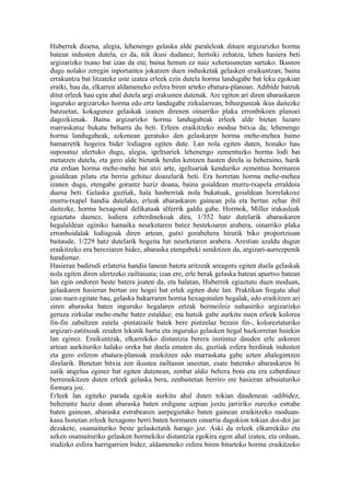 Huberrek dioena, alegia, lehenengo gelaska alde paraleloak dituen argizarizko horma
batean industen dutela, ez da, nik ikusi dudanez, hertsiki zehatza, lehen hasiera beti
argizarizko txano bat izan da eta; baina hemen ez naiz xehetasunetan sartuko. Ikusten
dugu nolako zeregin inportantea jokatzen duen indusketak gelasken eraikuntzan; baina
errakuntza bat litzateke uste izatea erleek ezin dutela horma landugabe bat leku egokian
eraiki, hau da, elkarren aldameneko esfera biren arteko ebatura-planoan. Adibide batzuk
ditut erleek hau egin ahal dutela argi erakusten dutenak. Are egiten ari diren abaraskaren
inguruko argizarizko horma edo ertz landugabe zirkularrean, bihurguneak ikus daitezke
batzuetan, kokagunez gelaskak izanen direnen oinarriko plaka erronbikoen planoei
dagozkienak. Baina argizarizko horma landugabeak erleek alde bietan luzaro
marraskatuz bukatu beharra du beti. Erleen eraikitzeko modua bitxia da; lehenengo
horma landugabeak, azkenean geratuko den gelaskaren horma mehe-mehea baino
hamarretik hogeira bider lodiagoa egiten dute. Lan nola egiten duten, honako hau
suposatuz ulertuko dugu, alegia, igeltsariek lehenengo zementuzko horma lodi bat
metatzen dutela, eta gero alde bietatik berdin kentzen hasten direla ia beheraino, harik
eta erdian horma mehe-mehe bat utzi arte, igeltsariak kenduriko zementua hormaren
goialdean pilatu eta berria gehituz doazelarik beti. Era horretan horma mehe-mehea
izanen dugu, etengabe gorantz haziz doana, baina goialdean murru-txapela erraldoia
duena beti. Gelaska guztiak, hala hasberriak nola bukatuak, goialdean horrelakoxe
murru-txapel handia dutelako, erleak abaraskaren gainean pila eta bertan zehar ibil
daitezke, horma hexagonal delikatuak alferrik galdu gabe. Hormok, Miller irakasleak
egiaztatu duenez, lodiera ezberdinekoak dira, 1/352 hatz dutelarik abaraskaren
hegalaldean eginiko hamaika neurketaren batez bestekoaren arabera, oinarriko plaka
erronboidalak lodiagoak diren artean, gutxi gorabehera hirutik biko proportzioan
baitaude, 1/229 hatz dutelarik hogeita bat neurketaren arabera. Arestian azaldu dugun
eraikitzeko era bereziaren bidez, abaraska etengabeki sendotzen da, argizari-aurrezpenik
handienaz.
Hasieran badirudi erlateria handia lanean batera aritzeak areagotu egiten duela gelaskak
nola egiten diren ulertzeko zailtasuna; izan ere, erle berak gelaska batean apurtxo batean
lan egin ondoren beste batera joaten da, eta halatan, Huberrek egiaztatu duen moduan,
gelaskaren hasieran bertan ere hogei bat erlek egiten dute lan. Praktikan frogatu ahal
izan nuen egitate hau, gelaska bakarraren horma hexagonalen hegalak, edo eraikitzen ari
ziren abaraska baten inguruko hegalaren ertzak bermeiloiz nahasiriko argizarizko
geruza zirkular mehe-mehe batez estalduz; eta hutsik gabe aurkitu nuen erleek kolorea
fin-fin zabaltzen zutela -pintatzaile batek bere pintzelaz bezain fin-, koloreztaturiko
argizari-zatitxoak zeuden lekutik hartu eta inguruko gelasken hegal hazkorretan haiekin
lan eginez. Eraikuntzak, elkarrekiko distantzia berera instintuz dauden erle askoren
artean aurkituriko halako oreka bat duela ematen du, guztiak esfera berdinak industen
eta gero esferon ebatura-planoak eraikitzen edo marraskatu gabe uzten ahalegintzen
direlarik. Benetan bitxia zen ikustea zailtasun uneetan, esate baterako abaraskaren bi
zatik angelua eginez bat egiten dutenean, zenbat aldiz behera bota eta era ezberdinez
berreraikitzen duten erleek gelaska bera, zenbaitetan berriro ere hasieran arbuiaturiko
formara joz.
Erleek lan egiteko parada egokia aurkitu ahal duten tokian daudenean -adibidez,
beherantz haziz doan abaraska baten erdigune azpian juxtu jarririko zurezko estrabe
baten gainean, abaraska estrabearen aurpegietako baten gainean eraikitzeko moduan-
kasu honetan erleek hexagono berri baten hormaren oinarria dagokion tokian doi-doi jar
dezakete, osamaituriko beste gelasketatik harago joz. Aski da erleek elkarrekiko eta
azken osamaituriko gelasken hormekiko distantzia egokira egon ahal izatea, eta orduan,
irudizko esfera harrigarrien bidez, aldameneko esfera biren bitarteko horma eraikitzeko
 