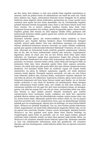 gai dira; baina, ikusi dudanez, ez dute inoiz gelaska baten angeluak marraskatzen ez
amaitzen, harik eta gelaska horren eta aldamenekoen zati handi bat eraiki arte. Erleek
duten ahalmen hau, alegia, zirkunstantzia batzuetan horma landugabe bat bi gelaska
hasberrien artean dagokion tokian eraikitzekoa, garrantzitsua da, itxuraz aurreko teoria
suntsitzen duen egitate bat bere baitan daramalako, hau da, liztorkabietako hegaleko
gelaskak batzuetan hertsiki hexagonalak izatea; baina ez dut hemen lekurik kontu honi
buruz aritzeko. Eta ez deritzot zailtasun handikoa intsektu bakar batek -liztor
erreginaren kasuan gertatzen den moduan- gelaska hexagonalak egiteari, batera hasiriko
bizpahiru gelaska aldiz barruan eta aldiz kanpoan landuko balitu, gelaskaren alde
hasberrietatik distantzia erlatibo egokira egonik beti, esferak edo zilindroak indusiz eta
bitarteko planoak eraikiz.
Hautespen naturalak egitura- edo instintu-eraldaketa txikien metaketaz ez bestez
diharduenez gero, haietako bakoitza banakoari dituen bizi-baldintzetan baliagarri
zaiolarik, arrazoiz galde daiteke: Nola izan zekizkiekeen onuragarri erle arruntaren
arbasoei arkitektura-instintuaren hurrenez hurreneko eta mailaz mailako eraldaketak,
guztiak gaur eguneko eraikuntza-plan hobezinera bideratuak? Erantzuna, nik uste, ez da
zaila: erlearenak eta liztorrarenak bezala eraikiriko gelaskek sendotasunean irabazten
dute eta lan, leku eta beren eraikuntzarako material asko aurrezten. Argizarigintzari
dagokionez, jakina da erleek sarri estu eta larri ibiltzen direla behar adina nektar
erdiesteko, eta Tegetmeier jaunak diost esperimentuz frogatu dela erlauntza bateko
erleek hamabitik hamabostera kilo azukre lehor kontsumitzen dutela libera bat argizari
jariatzeko; era honetan, erlauntza bateko erleek, nektar likido pilo harrigarria bildu eta
kontsumitu behar dute, beren abaraskak egiteko behar duten argizaria jariatzeko.
Gainera, erle askok lanik egin gabe geratu behar dute egun askotan, jariapen-prozesuan
daudenean. Ezti hornidura handia behar da ezinbestez neguan erle kopuru handia
mantentzeko, eta jakina da taldearen segurtasuna, nagusiki, erle askok mantenua
izatearen mende dagoela. Horregatik argizaria aurrezteak, ezti asko eta eztia biltzen
eman beharreko denbora asko aurreztea delako, arrakastaren elementu inportante bat
izan behar du edozein erle talderentzat. Espeziearen arrakasta, jakina, haren etsaien edo
bizkarroien kopuruaren edo beste kausa batzuen mende egon daiteke, eta era horretan
inolako zerikusirik ez izan erleek bil dezaketen ezti kantitatearekin. Baina demagun
azken zirkunstantzia honek erabaki zuela, sarri erabaki ere bide duen moduan, gure
erlastarraren hurbileko erle bat ugari bizi ahal izatea herrialderen batean; eta demagun,
gainera, erle talde hau neguan bizi izan zela eta, beraz, ezti-hornidura behar izan zuela;
kasu honetan ez dago dudatan jartzerik abantaila litzatekeela gure irudizko
erlastarrarentzat beren instintuetan izaniko eraldaketa arin batek bere argizarizko
gelaskak elkarren ondoan, apur bat elkarrebakitzeko moduan, egitera eraman izana; izan
ere, horma komun batek, aldameneko gelaska biren artekoa izanik ere, lan eta argizari
pixka bat aurreztuko luke. Gure erlastarrentzat, beraz, gero eta abantailatsuago litzateke
gelaskak gero eta erregularragoak, elkarren gero eta hurbilago, eta masa berean bildurik
egitea, Melipona-ren gelaskak bezalakoak; izan ere, kasu honetan gelaska bakoitzaren
azalera mugatzailearen zati handi batek aldamenekoak mugatzeko balioko luke, eta lan
eta argizari asko aurreztuko litzateke. Gainera, arrazoi berarengatik, abantaila litzaioke
Melipona-ri ere bere gelaskak orain egiten dituen baino elkarren hurbilago eta
erregularragoak eginen balitu era guztietan; izan ere, ikusi dugun moduan, gainazal
esferikoak erabat ezabatuko lirateke eta haien lekua gainazal lauak hartuko lukete, eta
Melipona-k erle arruntaren abaraska bezain hobezina eginen luke. Hautespen naturalak
ez zuen izan arkitekturazko hobezintasun maila hau gainditzerik, erle arruntaren
abaraska, guk ikus dezakeguneino, erabat hobezina delako lana eta argizaria aurrezteari
dagokionez.
 