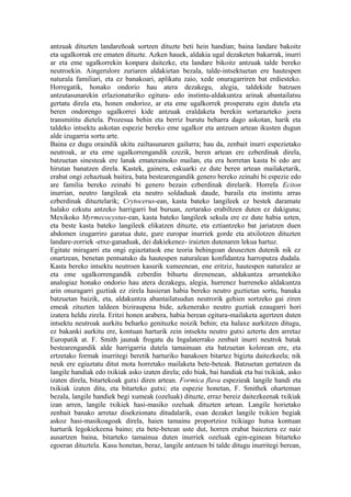 antzuak dituzten landareñoak sortzen dituzte beti hein handian; baina landare bakoitz
eta ugalkorrak ere ematen dituzte. Azken hauek, aldakia ugal dezaketen bakarrak, inurri
ar eta eme ugalkorrekin konpara daitezke, eta landare bikoitz antzuak talde bereko
neutroekin. Aingerulore zuriaren aldakietan bezala, talde-intsektuetan ere hautespen
naturala familiari, eta ez banakoari, aplikatu zaio, xede onuragarriren bat erdiesteko.
Horregatik, honako ondorio hau atera dezakegu, alegia, taldekide batzuen
antzutasunarekin erlazionaturiko egitura- edo instintu-aldakuntza arinak abantailatsu
gertatu direla eta, honen ondorioz, ar eta eme ugalkorrek prosperatu egin dutela eta
beren ondorengo ugalkorrei kide antzuak eraldaketa berekin sortarazteko joera
transmititu dietela. Prozesua behin eta berriz burutu beharra dago askotan, harik eta
taldeko intsektu askotan espezie bereko eme ugalkor eta antzuen artean ikusten dugun
alde izugarria sortu arte.
Baina ez dugu oraindik ukitu zailtasunaren gailurra; hau da, zenbait inurri espezietako
neutroak, ar eta eme ugalkorrengandik ezezik, beren artean ere ezberdinak direla,
batzuetan sinesteak ere lanak ematerainoko mailan, eta era horretan kasta bi edo are
hirutan banatzen direla. Kastek, gainera, eskuarki ez dute beren artean mailaketarik,
erabat ongi zehaztuak baitira, bata bestearengandik genero bereko zeinahi bi espezie edo
are familia bereko zeinahi bi genero bezain ezberdinak direlarik. Horrela Eciton
inurrian, neutro langileak eta neutro soldaduak daude, baraila eta instintu arras
ezberdinak dituztelarik; Crytocerus-ean, kasta bateko langileek ez bestek daramate
halako ezkutu antzeko harrigarri bat buruan, zertarako erabiltzen duten ez dakiguna;
Mexikoko Myrmecocystus-ean, kasta bateko langileek sekula ere ez dute habia uzten,
eta beste kasta bateko langileek elikatzen dituzte, eta eztiantzeko bat jariatzen duen
abdomen izugarriro garatua dute, gure europar inurriek gorde eta atxilotzen dituzten
landare-zorriek -etxe-ganaduak, dei dakiekenez- iraizten dutenaren lekua hartuz.
Egitate miragarri eta ongi egiaztatuok ene teoria behingoan deusezten dutenik nik ez
onartzean, benetan pentsatuko da hautespen naturalean konfidantza harroputza dudala.
Kasta bereko intsektu neutroen kasurik xumeenean, ene eritziz, hautespen naturalez ar
eta eme ugalkorrengandik ezberdin bihurtu direnenean, aldakuntza arruntekiko
analogiaz honako ondorio hau atera dezakegu, alegia, hurrenez hurreneko aldakuntza
arin onuragarri guztiak ez zirela hasieran habia bereko neutro guztietan sortu, banaka
batzuetan baizik, eta, aldakuntza abantailatsudun neutrorik gehien sortzeko gai ziren
emeak zituzten taldeen biziraupena bide, azkenerako neutro guztiak ezaugarri hori
izatera heldu zirela. Eritzi honen arabera, habia berean egitura-mailaketa agertzen duten
intsektu neutroak aurkitu beharko genituzke noizik behin; eta halaxe aurkitzen ditugu,
ez bakanki aurkitu ere, kontuan harturik zein intsektu neutro gutxi aztertu den arretaz
Europatik at. F. Smith jaunak frogatu du Ingalaterrako zenbait inurri neutrok batak
bestearengandik alde harrigarria dutela tamainuan eta batzuetan kolorean ere, eta
ertzetako formak inurritegi beretik harturiko banakoen bitartez bigizta daitezkeela; nik
neuk ere egiaztatu ditut mota horretako mailaketa bete-beteak. Batzuetan gertatzen da
langile handiak edo txikiak asko izaten direla; edo biak, bai handiak eta bai txikiak, asko
izaten direla, bitartekoak gutxi diren artean. Formica flava espezieak langile handi eta
txikiak izaten ditu, eta bitarteko gutxi; eta espezie honetan, F. Smithek oharteman
bezala, langile handiek begi xumeak (ozeluak) dituzte, erraz bereiz daitezkeenak txikiak
izan arren, langile txikiek hasi-masiko ozeluak dituzten artean. Langile horietako
zenbait banako arretaz disekzionatu ditudalarik, esan dezaket langile txikien begiak
askoz hasi-masikoagoak direla, haien tamainu proportzioz txikiago hutsa kontuan
harturik legokiekeena baino; eta bete-betean uste dut, horren erabat baieztera ez naiz
ausartzen baina, bitarteko tamainua duten inurriek ozeluak egin-eginean bitarteko
egoeran dituztela. Kasu honetan, beraz, langile antzuen bi talde ditugu inurritegi berean,
 