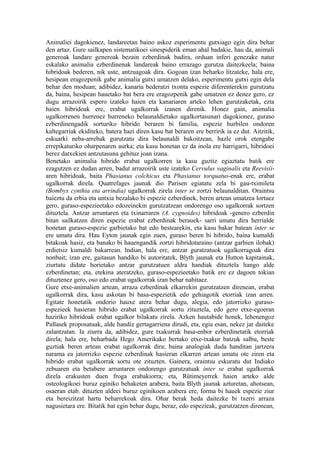 Animaliei dagokienez, landareetan baino askoz esperimentu gutxiago egin dira behar
den artaz. Gure sailkapen sistematikoei sinespiderik eman ahal badakie, hau da, animali
generoak landare generoak bezain ezberdinak badira, orduan inferi genezake natur
eskalako animalia ezberdinenak landareak baino errazago gurutza daitezkeela; baina
hibridoak bederen, nik uste, antzuagoak dira. Gogoan izan beharko litzateke, hala ere,
hesipean eragozpenik gabe animalia gutxi umatzen delako, esperimentu gutxi egin dela
behar den moduan; adibidez, kanaria bederatzi txonta espezie diferenterekin gurutzatu
da, baina, hesipean hauetako bat bera ere eragozpenik gabe umatzen ez denez gero, ez
dugu arrazoirik espero izateko haien eta kanariaren arteko lehen gurutzaketak, ezta
haien hibridoak ere, erabat ugalkorrak izanen direnik. Honez gain, animalia
ugalkorrenen hurrenez hurreneko belaunaldietako ugalkortasunari dagokionez, guraso
ezberdinengadik sorturiko hibrido beraren bi familia, espezie hurbilen ondoren
kaltegarriak ekiditeko, batera hazi diren kasu bat beraren ere berririk ia ez dut. Aitzitik,
eskuarki neba-arrebak gurutzatu dira belaunaldi bakoitzean, hazle orok etengabe
errepikaturiko oharpenaren aurka; eta kasu honetan ez da inola ere harrigarri, hibridoei
berez datxekien antzutasuna gehituz joan izana.
Benetako animalia hibrido erabat ugalkorren ia kasu guztiz egiaztatu batik ere
ezagutzen ez dudan arren, badut arrazoirik uste izateko Cervulus vaginalis eta Reevisii-
aren hibridoak, baita Phasianus colchicus eta Phasianus torquatus-enak ere, erabat
ugalkorrak direla. Quatrefages jaunak dio Parisen egiatatu zela bi gau-tximileta
(Bombyx cynthia eta arrindia) ugalkorrak zirela inter se zortzi belaunalditan. Oraintsu
baieztu da erbia eta untxia bezalako bi espezie ezberdinek, beren artean umatzea lortuez
gero, guraso-espezieetako edozeinekin gurutzatzean ondorengo oso ugalkorrak sortzen
dituztela. Antzar arruntaren eta txinarraren (A. cygnoides) hibridoak -genero ezberdin
bitan sailkatzen diren espezie erabat ezberdinak berauek- sarri umatu dira herrialde
honetan guraso-espezie garbietako bat edo bestearekin, eta kasu bakar batean inter se
ere umatu dira. Hau Eyton jaunak egin zuen, guraso beren bi hibrido, baina kumaldi
bitakoak hasiz, eta banako bi hauengandik zortzi hibridotaraino (antzar garbien ilobak)
erdietsiz kumaldi bakarrean. Indian, hala ere, antzar guratzatuok ugalkorragoak dira
nonbait; izan ere, gaitasun handiko bi autoritatek, Blyth jaunak eta Hutton kapitainak,
ziurtatu didate horietako antzar gurutzatuen aldra handiak dituztela hango alde
ezberdinetan; eta, etekina ateratzeko, guraso-espezieetako batik ere ez dagoen tokian
dituztenez gero, oso edo erabat ugalkorrak izan behar nahitaez.
Gure etxe-animalien artean, arraza ezberdinak elkarrekin gurutzatzen direnean, erabat
ugalkorrak dira, kasu askotan bi basa-espezietik edo gehiagotik etorriak izan arren.
Egitate honetatik ondorio hauxe atera behar dugu, alegia, edo jatorrizko guraso-
espezieek hasieran hibrido erabat ugalkorrak sortu zituztela, edo gero etxe-egoeran
haziriko hibridoak erabat ugalkor bilakatu zirela. Azken hautabide honek, lehenengoz
Pallasek proposatuak, alde handiz gertagarriena dirudi, eta, egia esan, nekez jar daiteke
zalantzatan. Ia ziurra da, adibidez, gure txakurrak basa-enbor ezberdinetatik etorriak
direla; hala ere, beharbada Hego Amerikako bertako etxe-txakur batzuk salbu, beste
guztiak beren artean erabat ugalkorrak dira; baina analogiak duda handitan jartzera
narama ea jatorrizko espezie ezberdinak hasieran elkarren artean umatu ote ziren eta
hibrido erabat ugalkorrak sortu ote zituzten. Gainera, oraintsu eskuratu dut Indiako
zebuaren eta betabere arruntaren ondorengo gurutzatuak inter se erabat ugalkorrak
direla erakusten duen froga erabakiorra; eta, Rütimeyerrek haien arteko alde
osteologikoei buruz eginiko behaketen arabera, baita Blyth jaunak azturetan, ahotsean,
osaeran etab. dituzten aldeei buruz eginikoen arabera ere, forma bi hauek espezie ziur
eta bereizitzat hartu beharrekoak dira. Ohar berak heda daitezke bi txerri arraza
nagusietara ere. Bitatik bat egin behar dugu, beraz, edo espezieak, gurutzatzen direnean,
 