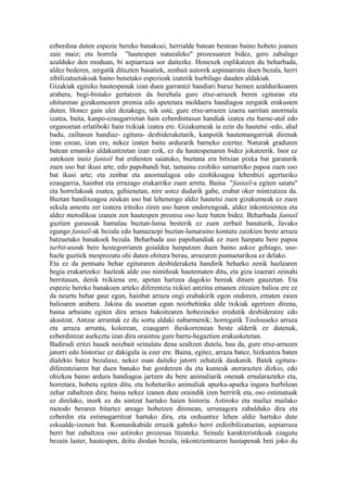 ezberdina duten espezie bereko banakoei, herrialde batean bestean baino hobeto joanen
zaie maiz; eta horrela "hautespen naturaleko" prozesuaren bidez, gero zabalago
azalduko den moduan, bi azpiarraza sor daitezke. Honexek esplikatzen du beharbada,
aldez bederen, zergatik dituzten basatiek, zenbait autorek azpimarratu duen bezala, herri
zibilizatuetakoak baino benetako espezieak izatetik hurbilago dauden aldakiak.
Gizakiak eginiko hautespenak izan duen garrantzi handiari buruz hemen azaldurikoaren
arabera, begi-bistako gertatzen da berehala gure etxe-arrazek beren egituran eta
ohituretan gizakumearen premia edo apetetara moldaera handiagoa zergatik erakusten
duten. Honez gain uler dezakegu, nik uste, gure etxe-arrazen izaera sarritan anormala
izatea, baita, kanpo-ezaugarrietan hain ezberdintasun handiak izatea eta barne-atal edo
organoetan erlatiboki hain txikiak izatea ere. Gizakumeak ia ezin du hautetsi -edo, ahal
badu, zailtasun handiaz- egitura- desbideraketarik, kanpotik hautemangarriak direnak
izan ezean, izan ere, nekez izaten baitu ardurarik barneko ezertaz. Naturak graduren
batean emaniko aldakuntzetan izan ezik, ez du hautespenaren bidez jokatzerik. Inor ez
zatekeen inoiz fantail bat erdiesten saiatuko, buztana era bitxian pixka bat garaturik
zuen uso bat ikusi arte, edo papohandi bat, tamainu ezohiko samarreko papoa zuen uso
bat ikusi arte; eta zenbat eta anormalagoa edo ezohikoagoa lehenbizi agerturiko
ezaugarria, hainbat eta errazago erakarriko zuen arreta. Baina "fantail-a egiten saiatu"
eta horrelakoak esatea, gehienetan, nire ustez dudarik gabe, erabat oker mintzatzea da.
Buztan handixeagoa zeukan uso bat lehenengo aldiz hautetsi zuen gizakumeak ez zuen
sekula amestu zer izatera iritsiko ziren uso haren ondorengoak, aldez inkontzientea eta
aldez metodikoa izanen zen hautespen prozesu oso luze baten bidez. Beharbada fantail
guztien gurasoak hamalau buztan-luma besterik ez zuen zerbait banaturik, Javako
egungo fantail-ak bezala edo hamazazpi buztan-lumaraino kontatu zaizkien beste arraza
batzuetako banakoek bezala. Beharbada uso papohandiak ez zuen hanpatu bere papoa
turbit-usoak bere hestegorriaren goialdea hanpatzen duen baino askoz gehiago, uso-
hazle guztiek mesprezatu ohi duten ohitura berau, arrazaren puntuetarikoa ez delako.
Eta ez da pentsatu behar egituraren desbideraketa handirik beharko zenik hazlearen
begia erakartzeko: hazleak alde oso nimiñoak hautematen ditu, eta giza izaerari zeinahi
berritasun, denik txikiena ere, apetan hartzea dagokio bereak dituen gauzetan. Eta
espezie bereko banakoen arteko diferentzia txikiei antzina emanen zitzaien balioa ere ez
da neurtu behar gaur egun, hainbat arraza ongi erabakirik egon ondoren, ematen zaien
balioaren arabera. Jakina da usoetan egun noizbehinka alde txikiak agertzen direna,
baina arbuiatu egiten dira arraza bakoitzaren hobezineko eredutik desbideratze edo
akastzat. Antzar arruntak ez du sortu aldaki nabarmenik; horregatik Toulouseko arraza
eta arraza arrunta, kolorean, ezaugarri iheskorrenean beste alderik ez dutenak,
ezberdintzat aurkeztu izan dira oraintsu gure barru-hegaztien erakusketetan.
Badirudi eritzi hauek noizbait seinalatu dena azaltzen dutela, hau da, gure etxe-arrazen
jatorri edo historiaz ez dakigula ia ezer ere. Baina, egitez, arraza batez, hizkuntza baten
dialekto batez bezalaxe, nekez esan daiteke jatorri zehatzik daukanik. Batek egitura-
diferentziaren bat duen banako bat gordetzen du eta kumeak aterarazten dizkio, edo
ohizkoa baino ardura handiagoa jartzen du bere animaliarik onenak ernalarazteko eta,
horretara, hobetu egiten ditu, eta hobeturiko animaliak apurka-apurka inguru hurbilean
zehar zabaltzen dira; baina nekez izanen dute oraindik izen berririk eta, oso estimatuak
ez direlako, inork ez du aintzat hartuko haien historia. Astiroko eta mailaz mailako
metodo beraren bitartez areago hobetzen direnean, urrunagora zabalduko dira eta
ezberdin eta estimagarritzat hartuko dira, eta orduantxe lehen aldiz hartuko dute
eskualde-izenen bat. Komunikabide errazik gabeko herri erdizibilizatuetan, azpiarraza
berri bat zabaltzea oso astiroko prozesua litzateke. Seinale karakteristikoak ezagutu
bezain laster, hautespen, deitu diodan bezala, inkontzientearen hastapenak beti joko du
 