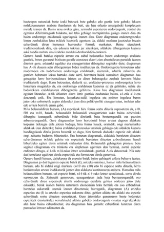 hautespen naturalak beste izaki batzuek bete gabeko edo guztiz bete gabeko lekuen
nolakotasunaren arabera ihardunen du beti, eta hau erlazio amaigabeki konplexuen
mende izanen da. Baina arau orokor gisa, zeinnahi espezieren ondorengoak, zenbat eta
egituraz diferenteagoak bilakatu, are leku gehiago harrapatzeko gaiago izanen dira eta
haien ondorengo eraldatuak ugariagoak izanen dira. Gure diagraman ondorengotzako
lerroa zenbakidun letra txikiek hautsirik agertzen da, aldaki moduan jasotzeko bezain
ezberdinak diren hurrenez hurreneko formak markatuz. Baina etendurok
irudimenezkoak dira, eta edozein tokitan jar zitezkeen, aldaketa dibergenteen kopuru
aski handia metatu ahal izateko moduko denboraldien ondoren.
Genero handi bateko espezie arrunt eta zabal hedaturiko baten ondorengo eraldatu
guztiek, beren gurasoei bizitzan garaile ateratzea ekarri zien abantailetan partaide izanen
direnez gero, eskuarki ugalduz eta ezaugarrietan dibergituz segituko dute; diagraman
hau A-tik doazen adar dibergenteen bidez irudikatzen da. Ondorengotza lerroetako adar
modernoen eta hobetuenen ondorengo eraldatuek, ziurrenik, adarrik zaharren eta
gutxien hobetuen lekua hartuko dute sarri, horretara haiek suntsituz: diagraman hau
goragoko lerro horizontaletara iristen ez diren beheragoko zenbait lerroren bidez
irudikaturik dago. Kasu batzuetan, dudarik ez, eraldatze-prozesua ondorengotza lerro
bakarrera mugatuko da, eta ondorengo eraldatuen kopurua ez da gehituko, nahiz eta
badaitekeen eraldaketaren dibergentzia gehitzea. Kasu hau diagraman irudikaturik
egonen litzateke, A-tik abiatzen diren lerro guztiak ezabatuko balira, a1-etik a10-era
doazenak ezik. Era honetan, lasterketa-zaldi ingelesa eta pointer ingelesa beren
jatorrizko enborretik argiro aldenduz joan dira poliki-poliki ezaugarrietan, inolako adar
edo arraza berririk eman gabe.
Mila belaunaldiren buruan, (A) espezieak hiru forma sortu dituela suposatzen da, a10,
f10 eta m10, hauek, belaunaldiz belaunaldi ezaugarrietan asko baina ezberdinki
dibergitu izanagatik ezberdindu bide direlarik bata besteengandik eta guztien
arbasoarengandik. Gure diagramako lerro horizontal biren artean dagoen aldaketa
kopurua txikiegia dela jotzen badugu, hiru forma hauek, oraindik, ongi markaturiko
aldakiak izan daitezke; baina eraldatze-prozesuko urratsak gehiago edo aldaketa kopuru
handiagokoak direla jotzea besterik ez dugu, hiru formok dudazko espezie edo aldaki
ongi zehaztu bederen bihurtzeko. Era honetan diagramak, aldakiak bereizten dituzten
ezberdintasun txikiak gehitu eta espezieak bereizten dituzten ezberdintasun handi
bihurtzeko egiten diren urratsak erakusten ditu. Belaunaldi gehiagotan prozesu bera
segituz (diagraman era trinkotu eta sinpletuan agertzen den bezala), zortzi espezie
erdiesten ditugu, a14-tik m14-rako letrez seinalatuak, guztiak A-tik datozenak. Nik uste
dut horrelaxe ugaltzen direla espezieak eta formatzen direla generoak.
Genero handi batean, daitekeena da espezie batek baino gehiagok aldatu beharra izatea.
Diagraman jo dut bigarren espezie batek (I), antzeko urratsez, hamar mila belaunaldiren
buruan, edo bi aldaki ongi markatu (w10 eta z10) edo bi espezie sortu dituela, lerro
horizontalen artean irudikaturik jotzen den aldaketa kantitatearen arabera. Hamalau mila
belaunaldiren buruan, sei espezie berri, n14-tik z14-rako letrez seinalatuak, sortu direla
suposatzen da. Zeinnahi generotan, ezaugarrietan jada bata bestearengandik oso
ezberdinak diren espezieek ahalik ondorengo eraldatu gehien sortzera joko dute
eskuarki, berak izanen baitira naturaren ekonomian leku berriak eta oso ezberdinak
hartzeko aukerarik onenak izanen dituztenak; horregatik, diagraman (A) ertzeko
espeziea eta (I) ia ertzeko espeziea aukeratu ditut, gehien aldatu eta aldaki eta espezie
ezberdinak sortu dituzten espezietzat. Gure jatorrizko generoaren beste bederatzi
espezieek (maiuskulez seinalatuek) aldatu gabeko ondorengoak ematen segi dezakete
aldi luze baina ezberdinetan; eta diagraman hau gorantz ezberdinki luzatzen diren
puntuzko lerroez adierazten da.
 