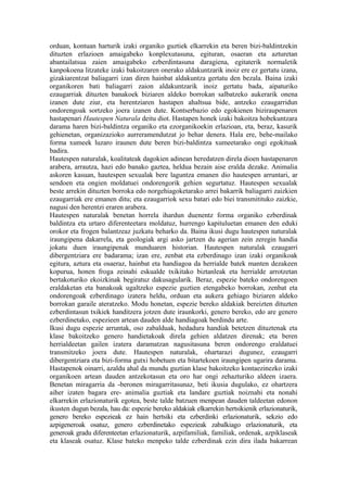 orduan, kontuan harturik izaki organiko guztiek elkarrekin eta beren bizi-baldintzekin
dituzten erlazioen amaigabeko konplexutasuna, egituran, osaeran eta azturetan
abantailatsua zaien amaigabeko ezberdintasuna daragiena, egitaterik normaletik
kanpokoena litzateke izaki bakoitzaren onerako aldakuntzarik inoiz ere ez gertatu izana,
gizakiarentzat baliagarri izan diren hainbat aldakuntza gertatu den bezala. Baina izaki
organikoren bati baliagarri zaion aldakuntzarik inoiz gertatu bada, aipaturiko
ezaugarriak dituzten banakoek biziaren aldeko borrokan salbatzeko aukerarik onena
izanen dute ziur, eta herentziaren hastapen ahaltsua bide, antzeko ezaugarridun
ondorengoak sortzeko joera izanen dute. Kontserbazio edo egokienen biziraupenaren
hastapenari Hautespen Naturala deitu diot. Hastapen honek izaki bakoitza hobekuntzara
darama haren bizi-baldintza organiko eta ezorganikoekin erlazioan, eta, beraz, kasurik
gehienetan, organizazioko aurreramendutzat jo behar denera. Hala ere, behe-mailako
forma xumeek luzaro iraunen dute beren bizi-baldintza xumeetarako ongi egokituak
badira.
Hautespen naturalak, koalitateak dagokien adinean heredatzen direla dioen hastapenaren
arabera, arrautza, hazi edo banako gaztea, heldua bezain aise eralda dezake. Animalia
askoren kasuan, hautespen sexualak bere laguntza emanen dio hautespen arruntari, ar
sendoen eta ongien moldatuei ondorengorik gehien segurtatuz. Hautespen sexualak
beste arrekin dituzten borroka edo norgehiagoketarako arrei bakarrik baliagarri zaizkien
ezaugarriak ere emanen ditu; eta ezaugarriok sexu batari edo biei transmitituko zaizkie,
nagusi den herentzi eraren arabera.
Hautespen naturalak benetan horrela ihardun duenentz forma organiko ezberdinak
baldintza eta urtaro diferenteetara moldatuz, hurrengo kapituluetan emanen den eduki
orokor eta frogen balantzeaz juzkatu beharko da. Baina ikusi dugu hautespen naturalak
iraungipena dakarrela, eta geologiak argi asko jartzen du agerian zein zeregin handia
jokatu duen iraungipenak munduaren historian. Hautespen naturalak ezaugarri
dibergentziara ere badarama; izan ere, zenbat eta ezberdinago izan izaki organikoak
egitura, aztura eta osaeraz, hainbat eta handiagoa da herrialde batek manten dezakeen
kopurua, honen froga zeinahi eskualde txikitako biztanleak eta herrialde arrotzetan
bertakoturiko ekoizkinak begiratuz dakusagularik. Beraz, espezie bateko ondorengoen
eraldaketan eta banakoak ugaltzeko espezie guztien etengabeko borrokan, zenbat eta
ondorengoak ezberdinago izatera heldu, orduan eta aukera gehiago biziaren aldeko
borrokan garaile ateratzeko. Modu honetan, espezie bereko aldakiak bereizten dituzten
ezberdintasun txikiek handitzera jotzen dute iraunkorki, genero bereko, edo are genero
ezberdinetako, espezieen artean dauden alde handiagoak berdindu arte.
Ikusi dugu espezie arruntak, oso zabalduak, hedadura handiak betetzen dituztenak eta
klase bakoitzeko genero handietakoak direla gehien aldatzen direnak; eta beren
herrialdeetan gailen izatera daramatzan nagusitasuna beren ondorengo eraldatuei
transmitzeko joera dute. Hautespen naturalak, ohartarazi dugunez, ezaugarri
dibergentziara eta bizi-forma gutxi hobetuen eta bitartekoen iraungipen ugarira darama.
Hastapenok oinarri, azaldu ahal da mundu guztian klase bakoitzeko kontaezinezko izaki
organikoen artean dauden antzekotasun eta oro har ongi zehazturiko aldeen izaera.
Benetan miragarria da -beronen miragarritasunaz, beti ikusia dugulako, ez ohartzera
aiher izaten bagara ere- animalia guztiak eta landare guztiak noiznahi eta nonahi
elkarrekin erlazionaturik egotea, beste talde batzuen menpean dauden taldeetan edonon
ikusten dugun bezala, hau da: espezie bereko aldakiak elkarrekin hertsikienik erlazionaturik,
genero bereko espezieak ez hain hertsiki eta ezberdinki erlazionaturik, sekzio edo
azpigeneroak osatuz, genero ezberdinetako espezieak zabalkiago erlazionaturik, eta
generoak gradu diferenteetan erlazionaturik, azpifamiliak, familiak, ordenak, azpiklaseak
eta klaseak osatuz. Klase bateko menpeko talde ezberdinak ezin dira ilada bakarrean
 