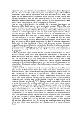espezietzat hartu ezean bederen, aldatzean besteen ezaugarrietako batzuk berenganatu
dituztela. Baina aldakuntza analogoen frogarik onena honako organo edo atal hauek
dakarkigute, alegia, eskuarki iraunkorrak diren baina batzuetan espezie hurbil baten
organo edo atal berdinen antzekoak graduren batean izateraino aldatzen direnak. Kasu
hauen zerrenda luze bat bildu dut, baina oraingo honetan ere, lehen bezala, eman ezinak
dakarkidan desabantaila handia dut. Berriro ere hauxe da esan nezakeen bakarra, kasu
hauek benetan gertatzen direla, eta oso azpimaragarriak deritzedala.
Hala ere, kasu bitxi eta konplexu bat azalduko dut, ez ezaugarri inportanteren bati
dagokiona delako, baizik genero bereko espezieetan gertatzen delako, aldez etxe-
egoeran eta aldez natur egoeran. Gibelamenduko kasu bat da ia ziur. Astoak batzuetan
zehar-marra oso ezberdinak edukitzen ditu hanketan, zebraren hanketakoen antzekoak;
esan izan da kumetan ageri-ageriak direla eta, egin ditudan egiaztapenetatik, uste dut
egia dela. Eskapula gaineko marra batzuetan bikoitza da, eta ezberdina izan ohi da
luzeran eta bornuan. Asto zuria, baina ez albinoa, ez lepo ez eskapula gaineko marrarik
gabe deskribatu izan da, eta asto ilunkaretan ere marra hauek oso ilun, edo zeharo
galdurik, aurkitzen dira batzuetan. Pallaseko kuluna eskapulan marra bikoitza duela
ikusi izan omen da. Blyth jaunak basasto asiar bat ikusi du eskapula gainean marra
duela, nahiz eta tipoz horrelakorik ez duen; Poole koronelak jakinarazi dit espezie
honetako kumeak eskuarki hanketan marrak izaten dituztela, eta eskapula gainean ere
ahulki marraturik. Quaggak, gorputza zebrak bezala marraztatua badu ere, hanketan ez
du marrarik; baina Gray doktoreak tartsoetan zebrak bezalako marrak dituela marraztu
du quagga bat.
Zaldiari dagokionez, lepoan marrak dituzten arrazarik diferenteenetako eta kolore
guztietako zaldien kasuak bildu ditut Ingalaterran: zehar-marrak ez dira behin edo
behintxotan besterik ageri zaldi arreetan eta sagu-kolorekoetan, eta kasu batean zaldi
gorri ilun bati ikusiak dizkiot. Ene semeak aztertu zuen eta marraztu zidan belgikar
gurtzaldi arre bat, eskapula bakoitzaren gainean marra bikoitza eta hanka marraztatuak
zituena; nik neuk ere ikusia dut Devonshireko pony arre bat, eta galestar pony txiki arre
bat deskribatu didate zehatz-mehatz, eskapula bakoitzaren gainean hiru marra paralelo
zituztenak biak.
Indiako ipar-ekialdean, Kattywarreko zaldi arrazak marrak edukitzea hain ohiko duenez
gero, Indiako Gobernuarentzat arraza hau aztertu zuen Poole Koronelari entzuna
diodanez, marrarik gabeko zaldia ez da han odol garbikotzat jotzen. Lepoan marrak ditu
beti; hanketan eskuarki barrak; eta eskapulako marra, batzuetan bikoitza eta beste
batzuetan hirukoitza dena, komuna da; gainera, aurpegialdean ere batzuetan marrak
dituzte. Sarri marrak argiagoak dira kumeetan, eta batzuetan erabat ezabatzen dira zaldi
zaharretan. Poole koronelak Kattywarreko zaldi bai grisak bai arreak ikusi ditu, marrak
zituztenak jaiotzako une beretik. W.W. Edwards jaunak eman didan informaziotik,
arrazoiak ditut susmatzeko lasterketa-zaldi ingelesaren kasuan lepoko marra maizago
izaten duela kumeak, animalia haziak baino. Nik neuk ere oraintsu kume bat lortu dut
behor arre (zaldi turkiar eta behor flandestarraren ondorengoa) eta lasterketa-zaldi
ingeles batengandik; zaldiño honek, astebete zuenean, atzealdean eta bekokian marra
asko zituen, oso estuak, ilunak, zebrak bezalakoak, eta hanketan marra ahulak: handik
lasterrera marra guztiak zeharo ezabatu zitzaizkion. Zehaztasun gehiagotan hemen sartu
gabe, esan dezaket eskapuletan eta hanketan marrak zituzten herrialde ezberdinetako
arraza oso diferenteko zaldien kasuak bildu ditudala, Ingalaterratik Txinako
ekialderaino, eta Norvegiatik, iparrean, Malaysiar artxipelagoraino, hegoan. Munduko
alde guztietan askoz maizago ageri dira arreetan eta sagu-kolorekoetan; arre hitzean
kolore gama zabala sartuz, gaztainakara eta beltzaren artekotik ia krema-koloreraino
doana.
 