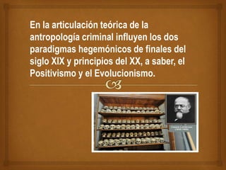 En la articulación teórica de la
antropología criminal influyen los dos
paradigmas hegemónicos de finales del
siglo XIX y principios del XX, a saber, el
Positivismo y el Evolucionismo.
 