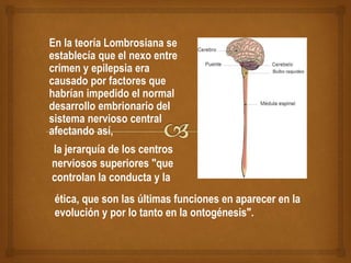 En la teoría Lombrosiana se
establecía que el nexo entre
crimen y epilepsia era
causado por factores que
habrían impedido el normal
desarrollo embrionario del
sistema nervioso central
afectando así,
la jerarquía de los centros
nerviosos superiores "que
controlan la conducta y la
ética, que son las últimas funciones en aparecer en la
evolución y por lo tanto en la ontogénesis".
 