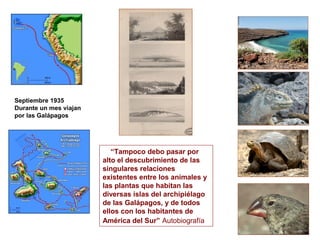 Septiembre 1935
Durante un mes viajan
por las Galápagos




                           “Tampoco debo pasar por
                        alto el descubrimiento de las
                        singulares relaciones
                        existentes entre los animales y
                        las plantas que habitan las
                        diversas islas del archipiélago
                        de las Galápagos, y de todos
                        ellos con los habitantes de
                        América del Sur” Autobiografía
 