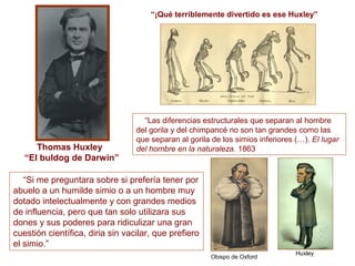 “¡Qué terríblemente divertido es ese Huxley”




                                    “Las diferencias estructurales que separan al hombre
                                  del gorila y del chimpancé no son tan grandes como las
                                  que separan al gorila de los simios inferiores (…). El lugar
      Thomas Huxley               del hombre en la naturaleza. 1863
   “El buldog de Darwin”

   “Si me preguntara sobre si prefería tener por
abuelo a un humilde simio o a un hombre muy
dotado intelectualmente y con grandes medios
de influencia, pero que tan solo utilizara sus
dones y sus poderes para ridiculizar una gran
cuestión científica, diria sin vacilar, que prefiero
el simio.”
                                                                                 Huxley
                                                        Obispo de Oxford
 