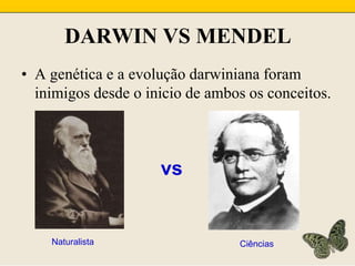 DARWIN VS MENDELA genética e a evolução darwiniana foram inimigos desde o inicio de ambos os conceitos.vsNaturalistaCiências