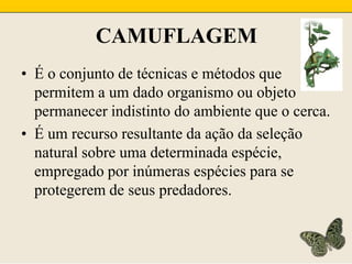 CAMUFLAGEMÉ o conjunto de técnicas e métodos que permitem a um dado organismo ou objeto permanecer indistinto do ambiente que o cerca.É um recurso resultante da ação da seleção natural sobre uma determinada espécie, empregado por inúmeras espécies para se protegerem de seus predadores.