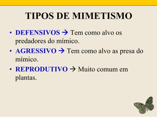 TIPOS DE MIMETISMODEFENSIVOS  Tem como alvo os predadores do mímico.AGRESSIVO  Tem como alvo as presa do mímico.REPRODUTIVO  Muito comum em plantas.