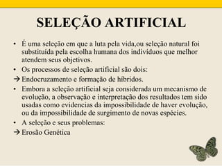 SELEÇÃO ARTIFICIALÉ uma seleção em que a luta pela vida,ou seleção natural foi substituída pela escolha humana dos indivíduos que melhor atendem seus objetivos.Os processos de seleção artificial são dois:Endocruzamento e formação de híbridos.Embora a seleção artificial seja considerada um mecanismo de evolução, a observação e interpretação dos resultados tem sido usadas como evidencias da impossibilidade de haver evolução, ou da impossibilidade de surgimento de novas espécies.A seleção e seus problemas:Erosão Genética