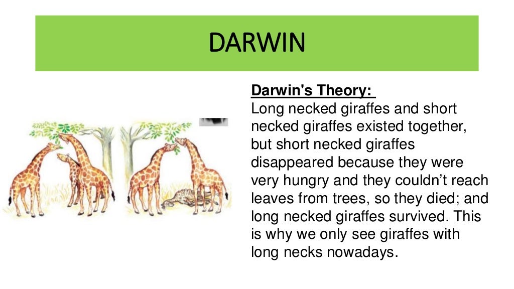 Darwin and lamarck evolution theories