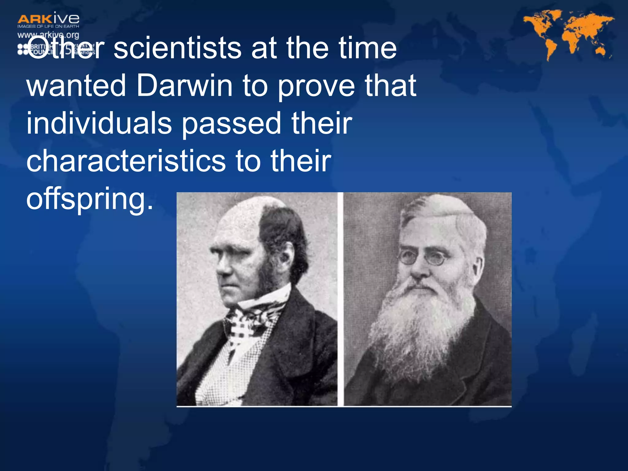 Other scientists at the time
wanted Darwin to prove that
individuals passed their
characteristics to their
offspring.
 