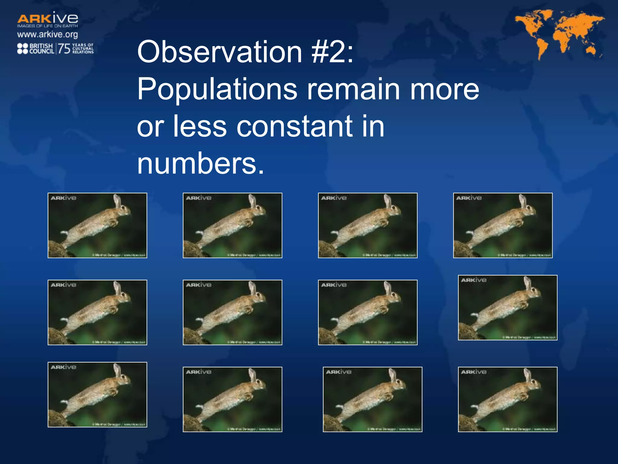 Observation #2:
Populations remain more
or less constant in
numbers.
 