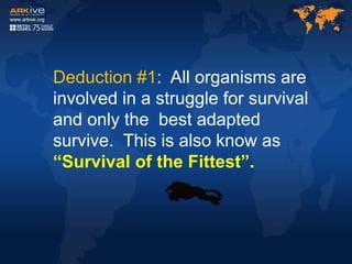 Deduction #1: All organisms are
involved in a struggle for survival
and only the best adapted
survive. This is also know as
“Survival of the Fittest”.
 