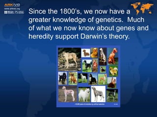 Since the 1800’s, we now have a
greater knowledge of genetics. Much
of what we now know about genes and
heredity support Darwin’s theory.
 