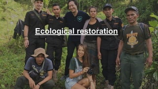 Ecological restoration
25
 