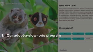 1. Our adopt-a-slow-loris program
36
 