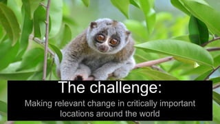 The challenge:
Making relevant change in critically important
locations around the world 5
 