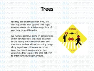 Trees
You may also skip this section if you are
well acquainted with “graphs” and “logic”.
However do not discard devoting a little of
your time to see this series.
We humans continue being in part esoteric
and in part rationale. We all are attracted
by the beauty and harmony of trees and
tree forms and we all love to catalog things
along logical trees. However we do not
apply our coined along centuries tree
wisdom neither to order the Web not even
to order our Knowledge Curricula.
 