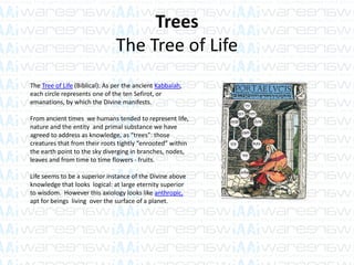 Trees
The Tree of Life
The Tree of Life (Biblical): As per the ancient Kabbalah,
each circle represents one of the ten Sefirot, or
emanations, by which the Divine manifests.
From ancient times we humans tended to represent life,
nature and the entity and primal substance we have
agreed to address as knowledge, as “trees”: those
creatures that from their roots tightly “enrooted” within
the earth point to the sky diverging in branches, nodes,
leaves and from time to time flowers - fruits.
Life seems to be a superior instance of the Divine above
knowledge that looks logical: at large eternity superior
to wisdom. However this axiology looks like anthropic,
apt for beings living over the surface of a planet.
 