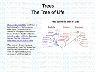Trees
The Tree of Life
Phylogenetic Tree of Life: also known as
Evolutionary Tree. We humans are
eukaryotes. Eukaryotes that are
defined by having cellular membrane
bound structures. We fall within the
Animals kingdom within the Eukaryote
Domain. See The Evolution of
Eukaryotes and our Human Story.
Most trees are depicted as going
upwards from “roots” to “leaves”. On
the contrary Computational Logical
Trees are represented as going
downwards with their roots up.
 
