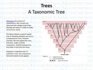 Trees
A Taxonomic Tree
Taxonomy, the science of
classification. We, humans are
obsessed with categorizing things.
Perhaps we need it in order to make
sense of our world.
The figure depicts a typical Logical
Tree or Semantic Skeleton we use as
Computational Trees, however
inverted. We may appreciate root,
branches, nodes, and the
uniqueness of paths that go from
any node to root and vice versa.
However in imperfect and “in
evolution” trees this uniqueness
fails and closed circuits appear.
 