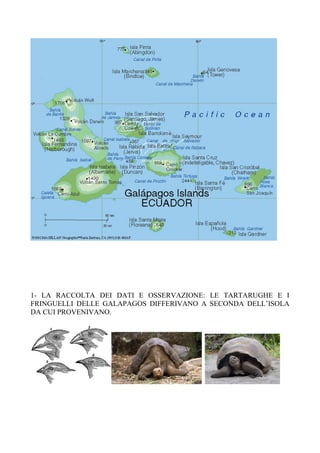 1- LA RACCOLTA DEI DATI E OSSERVAZIONE: LE TARTARUGHE E I 
FRINGUELLI DELLE GALAPAGOS DIFFERIVANO A SECONDA DELL’ISOLA 
DA CUI PROVENIVANO. 
 