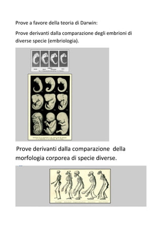 Prove a favore della teoria di Darwin: 
Prove derivanti dalla comparazione degli embrioni di 
diverse specie (embriologia). 
Prove derivanti dalla comparazione della 
morfologia corporea di specie diverse. 
 