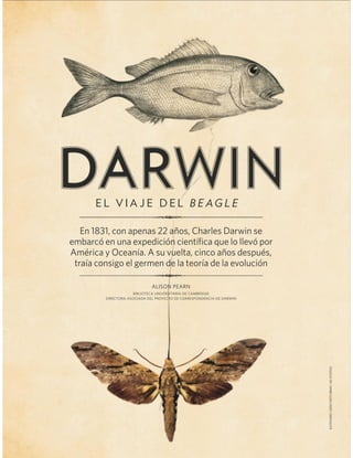 DARWIN (EL VIAJE DEL BEAGLE)