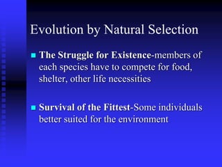 darwin evolution ppt.pptx