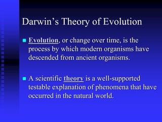 darwin evolution ppt.pptx