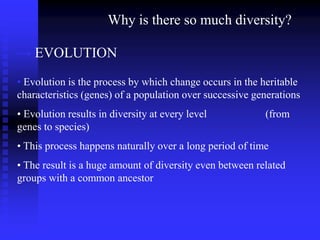 Why is there so much diversity?
→ EVOLUTION
• Evolution is the process by which change occurs in the heritable
characteristics (genes) of a population over successive generations
• Evolution results in diversity at every level (from
genes to species)
• This process happens naturally over a long period of time
• The result is a huge amount of diversity even between related
groups with a common ancestor
 