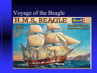 Voyage of the Beagle
 