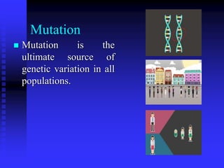 Mutation
 Mutation is the
ultimate source of
genetic variation in all
populations.
 