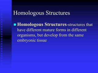 Homologous Structures
 Homologous Structures-structures that
have different mature forms in different
organisms, but develop from the same
embryonic tissue
 