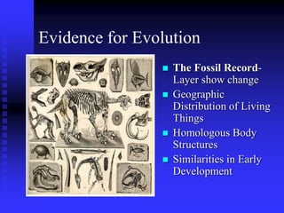 Evidence for Evolution
 The Fossil Record-
Layer show change
 Geographic
Distribution of Living
Things
 Homologous Body
Structures
 Similarities in Early
Development
 