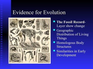 Comprehensive Overview of Darwin's Theory of Evolution and Its ...