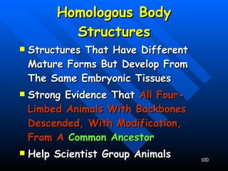 Homologous Body Structures Structures That Have Different Mature Forms But Develop From The Same Embryonic Tissues Strong Evidence That  All Four-Limbed Animals With Backbones Descended, With Modification, From A  Common Ancestor Help Scientist Group Animals 